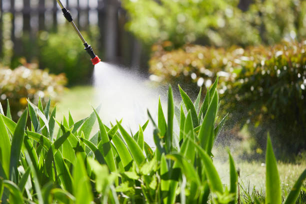 Tamper-Resistant Bait Stations for Rodents in Jenks