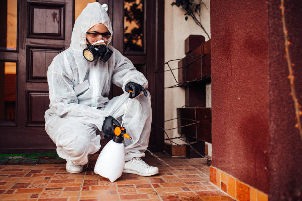 Attic and Crawl Space Rodent Treatment in Jenks