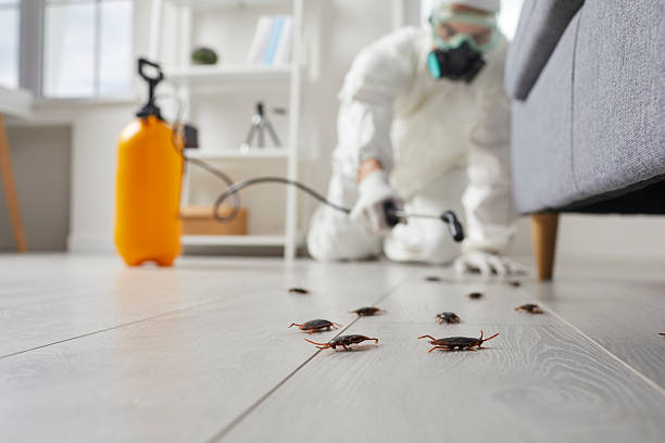 Commercial Rodent Management in Jenks